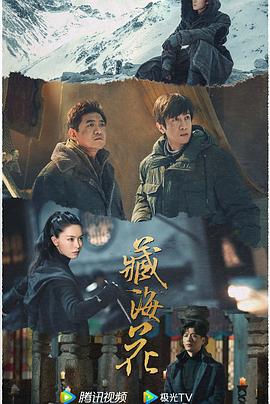青青草在线视频直播 - 五狼夜色