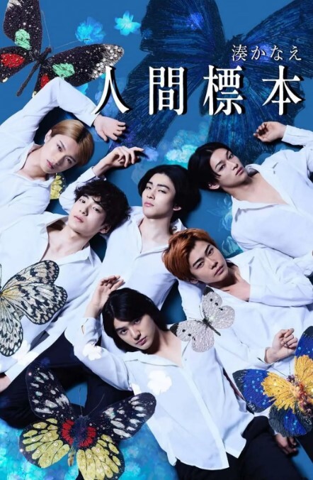 【安妮 ·海瑟薇 】好莱坞一线女明星大胆露出 - 五狼夜色